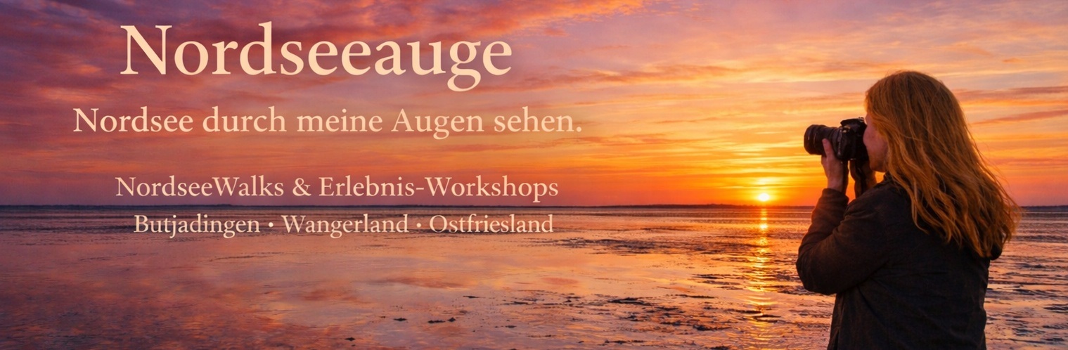 Nordsee Foto Erlebnisworkshop Banner